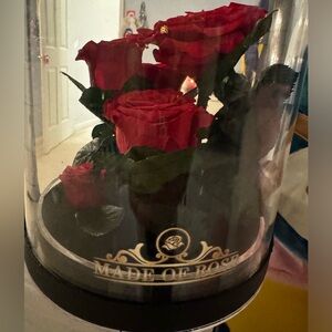 Eternal Roses